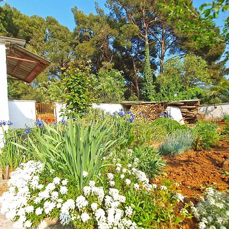 Mara 1323 Διαμέρισμα Πούλα